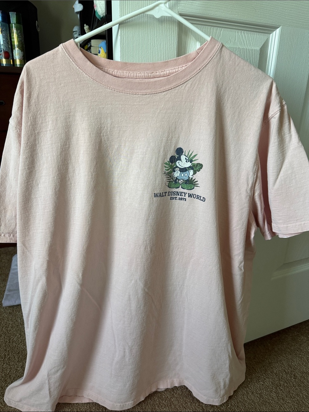 Disney Women’s Pink Walt Disney World Graphic Tee
